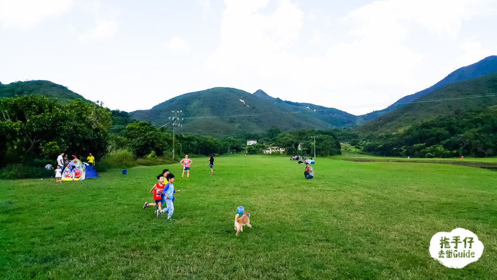 草地2